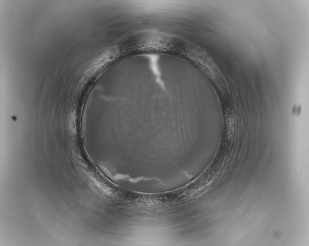 X0000094810729200711301551