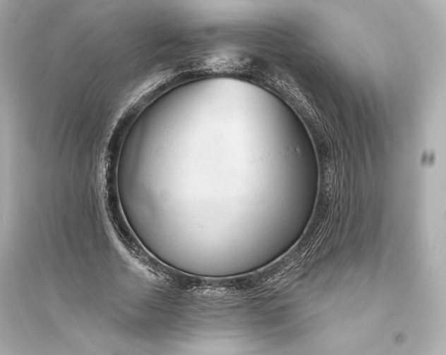 X0000094810730200711301551