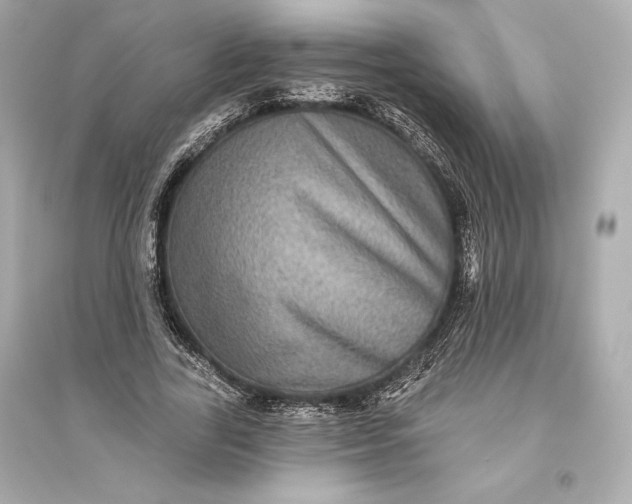 X0000094810731200711301551