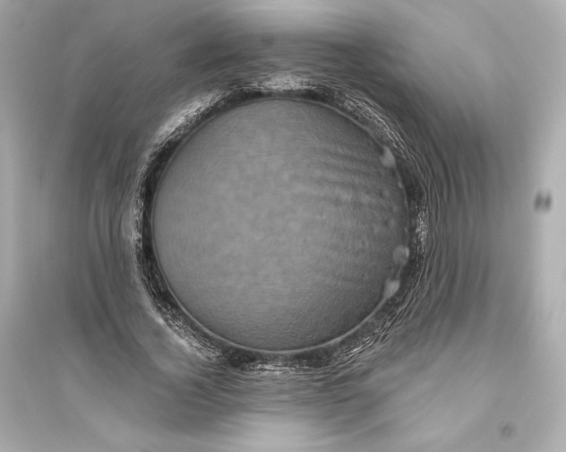 X0000094810732200711301551