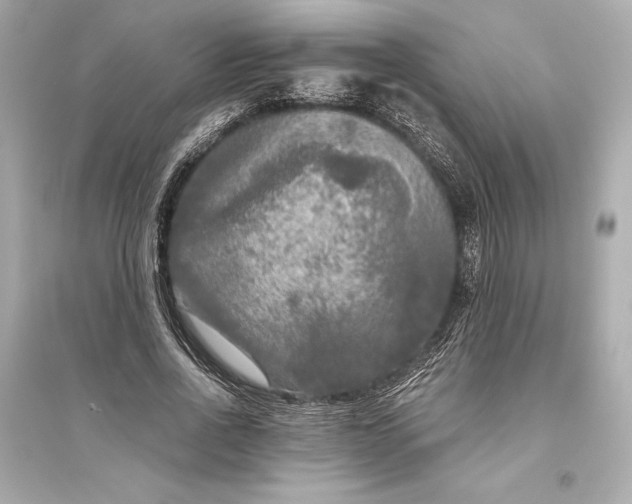 X0000094810734200711301551