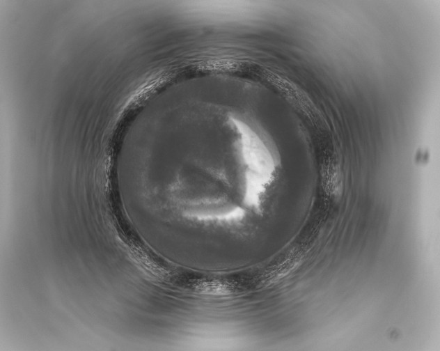 X0000094810735200711301551