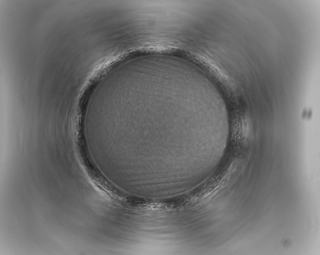 X0000094810736200711301551