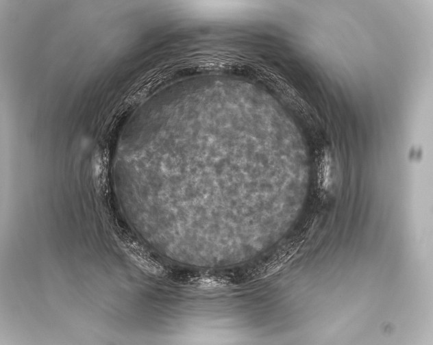 X0000094810737200711301551