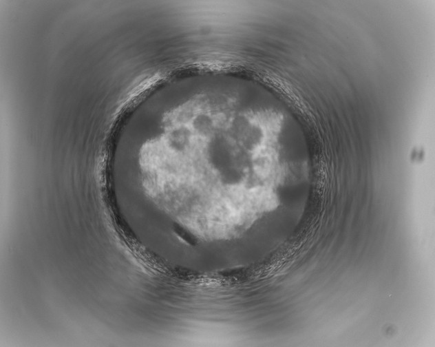 X0000094810738200711301551