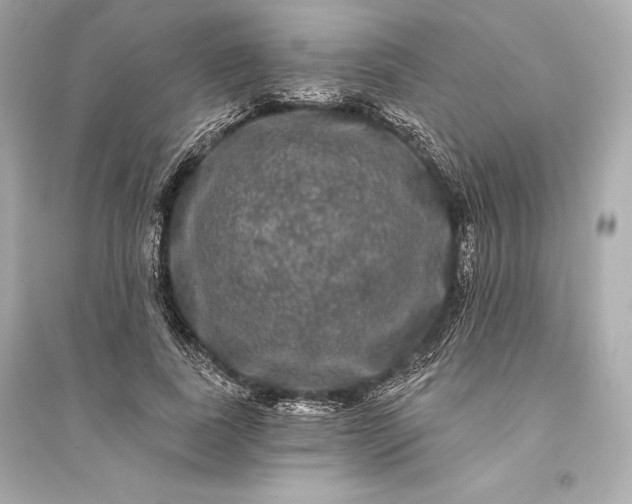 X0000094810739200711301551