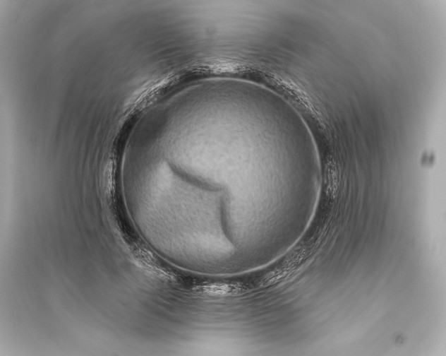 X0000094810740200711301551