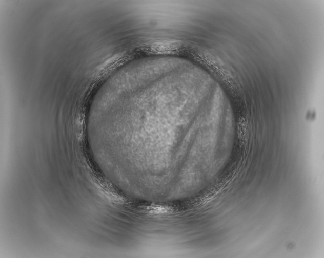 X0000094810741200711301551