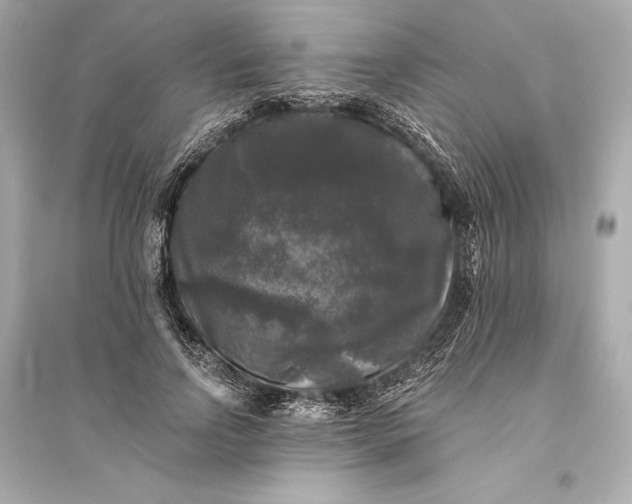 X0000094810742200711301551