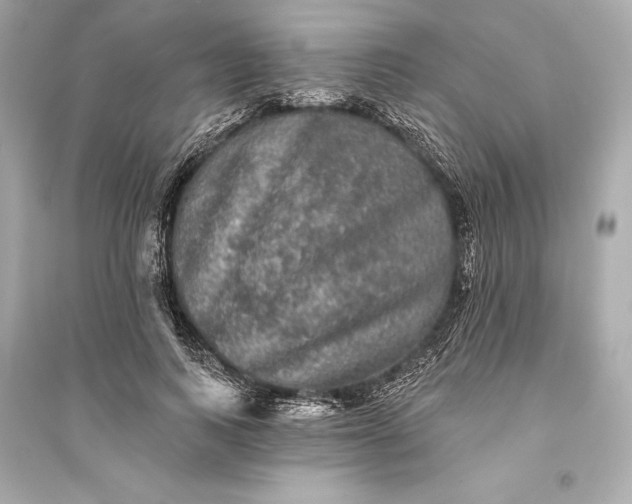 X0000094810743200711301551