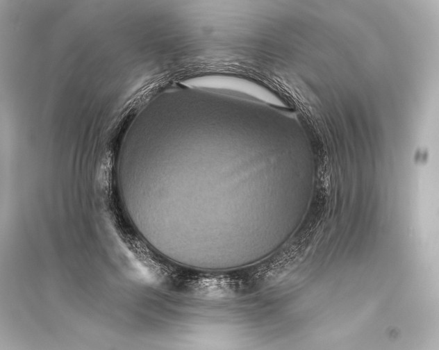 X0000094810744200711301551