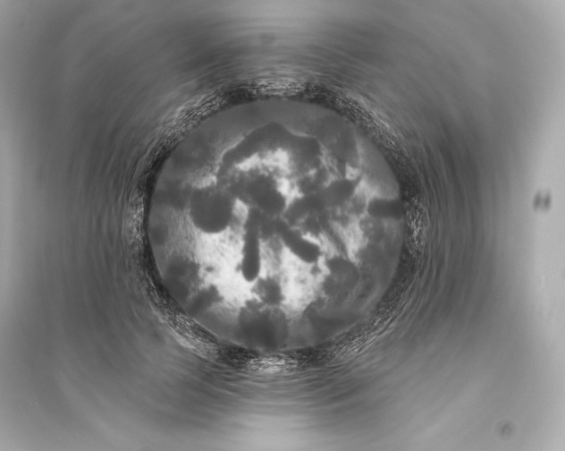 X0000094810745200711301551