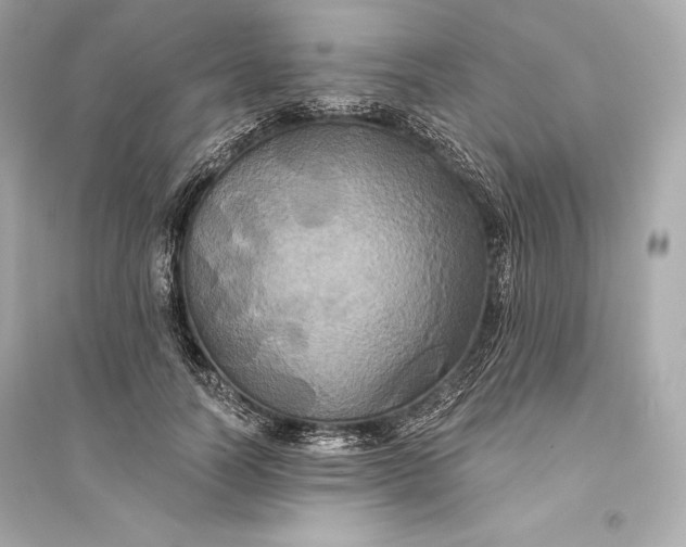 X0000094810746200711301551