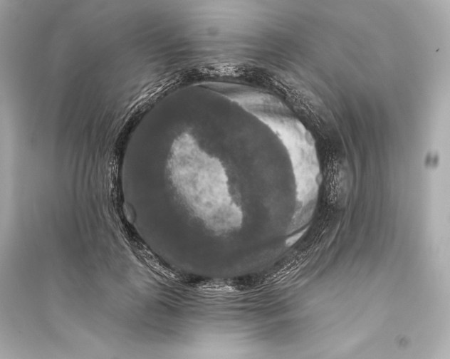 X0000094810747200711301551