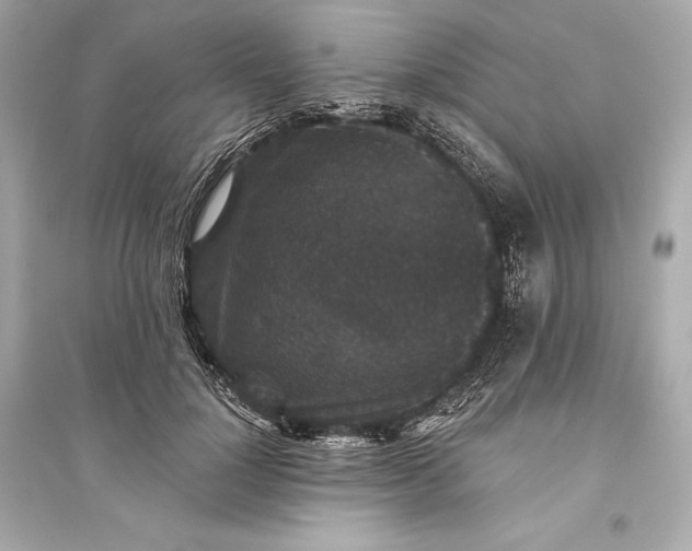 X0000094810748200711301551