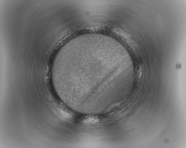 X0000094810750200711301551