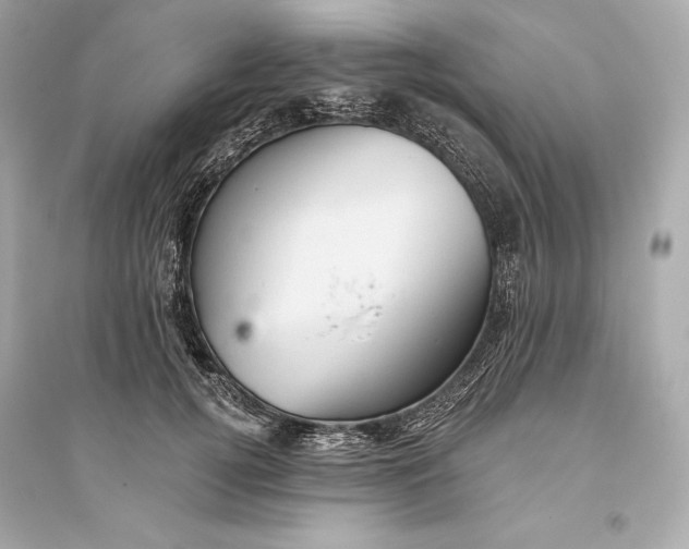 X0000094810752200711301551