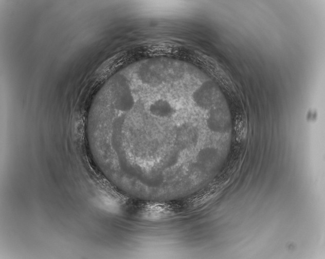 X0000094810753200711301551