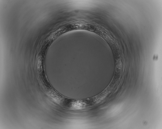 X0000094810754200711301551