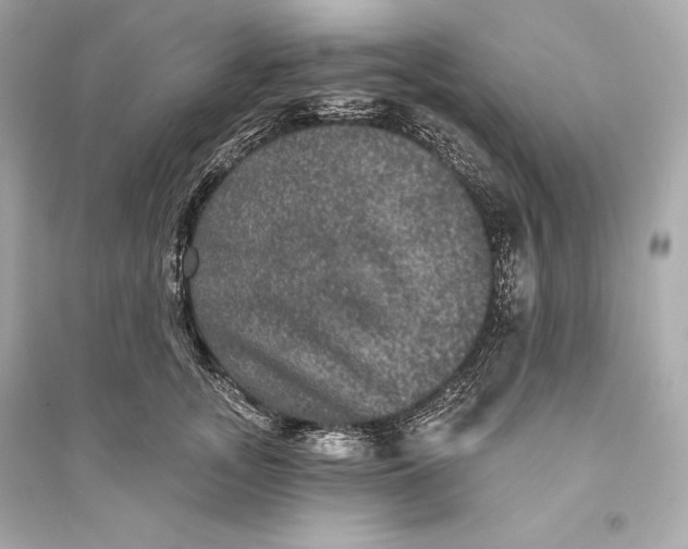 X0000094810755200711301551