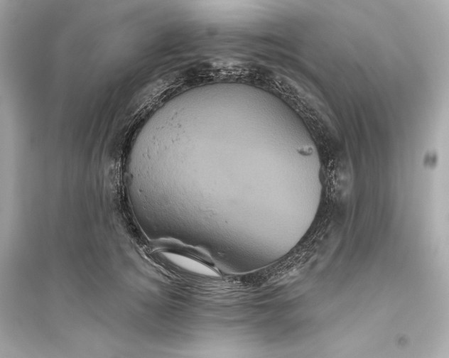 X0000094810756200711301551