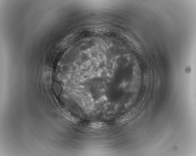 X0000094810757200711301551