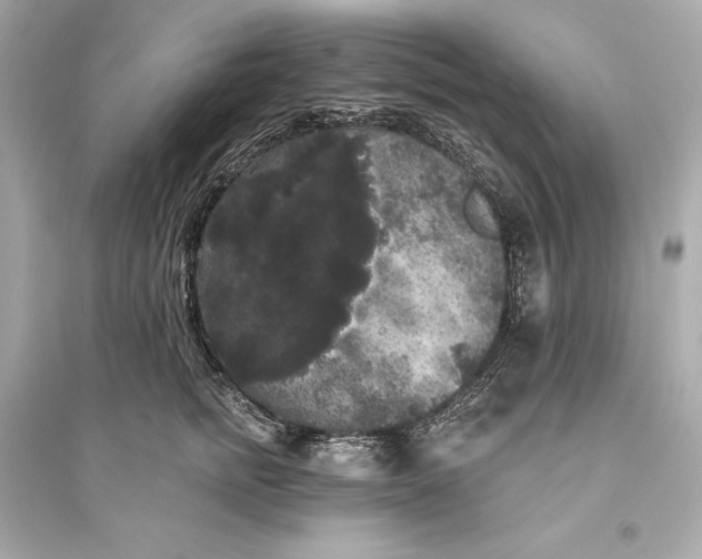 X0000094810758200711301551