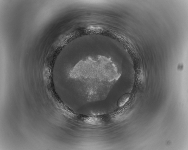 X0000094810759200711301551