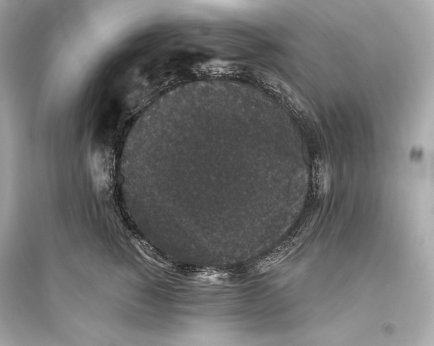 X0000094810760200711301551