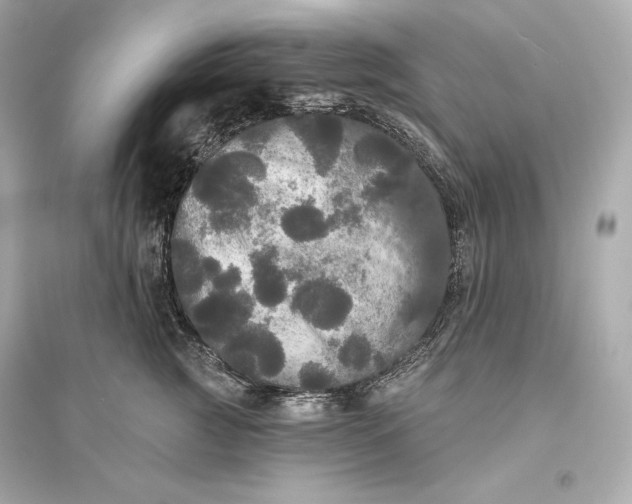 X0000094810761200711301551