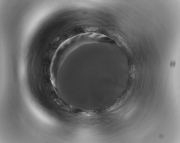 X0000094810763200711301551