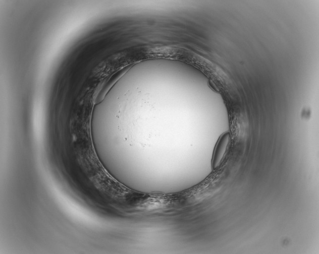 X0000094810764200711301551