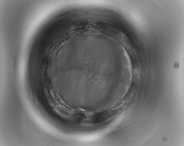 X0000094810765200711301551