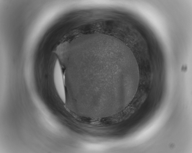 X0000094810766200711301551