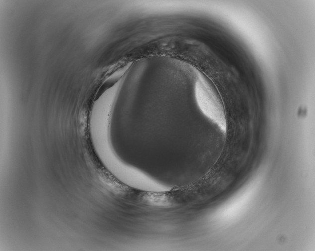 X0000094810767200711301551