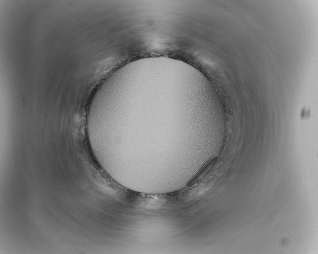 X0000094810768200711301551