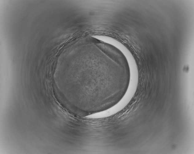 X0000094810769200711301550