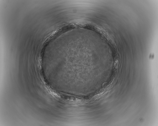 X0000094810772200711301550