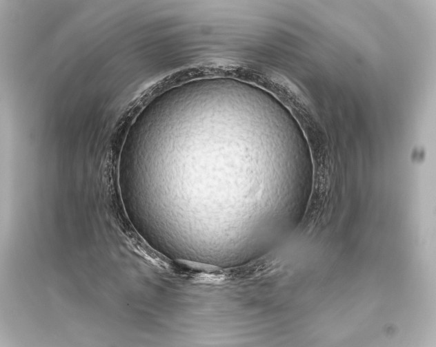 X0000094810773200711301550