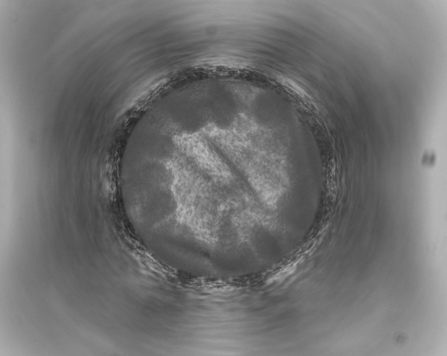 X0000094810774200711301550