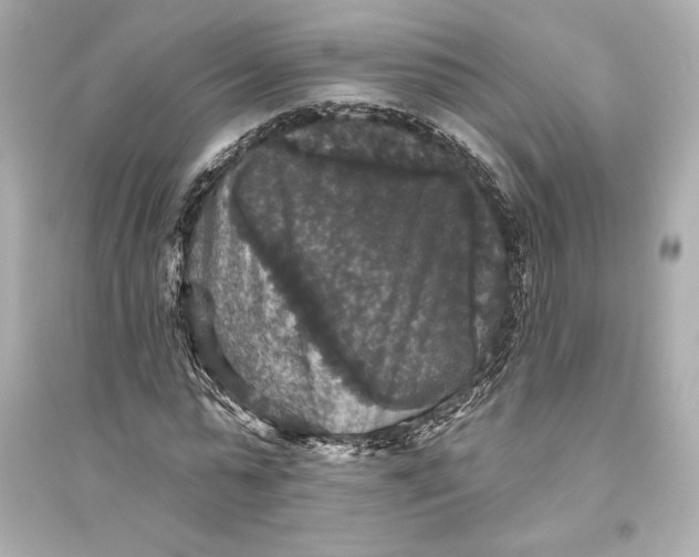 X0000094810775200711301550