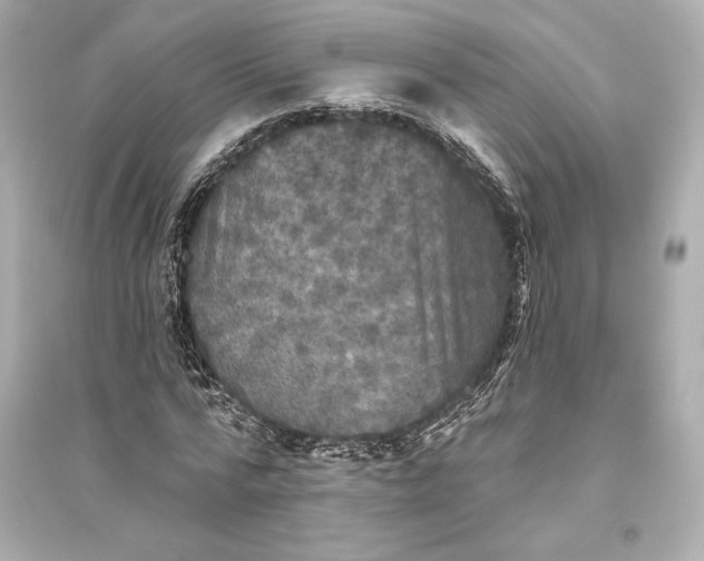 X0000094810776200711301550