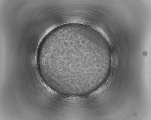 X0000094810780200711301550