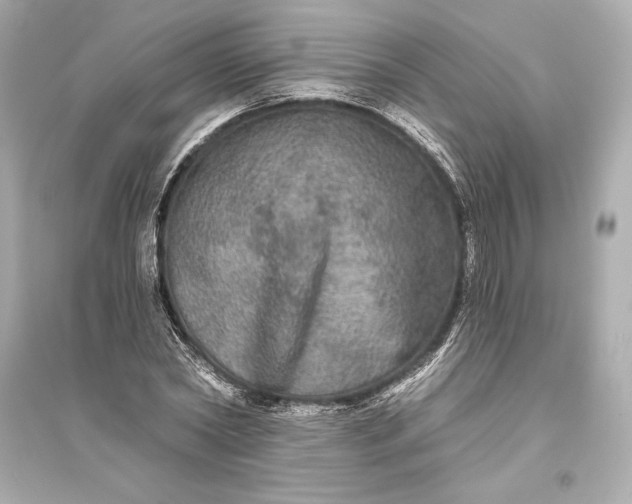 X0000094810782200711301550