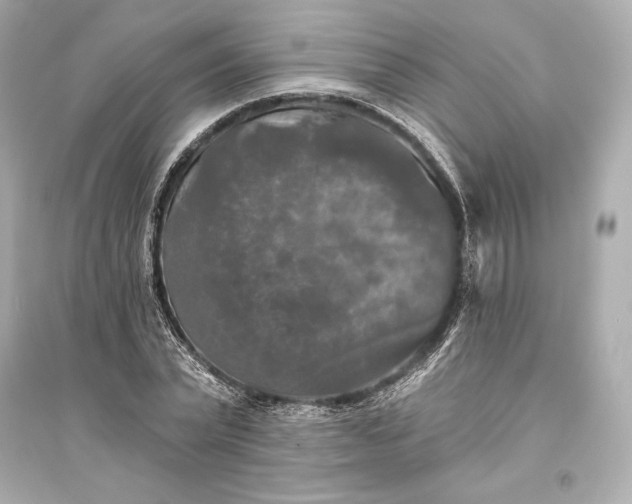 X0000094810783200711301550