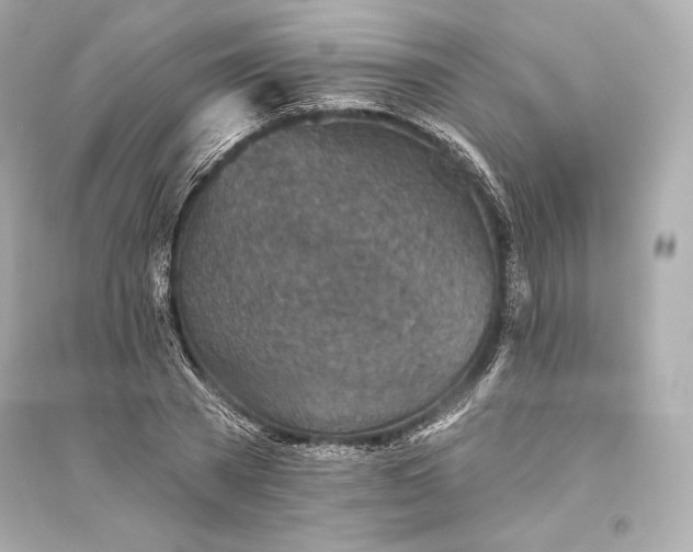 X0000094810785200711301550