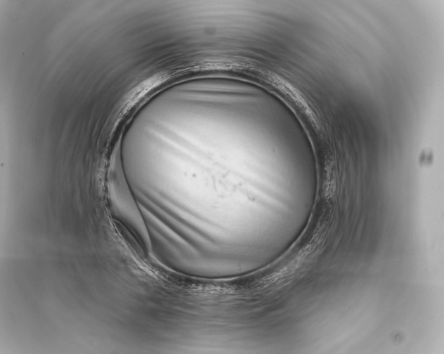 X0000094810786200711301550