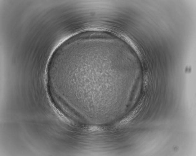 X0000094810787200711301550