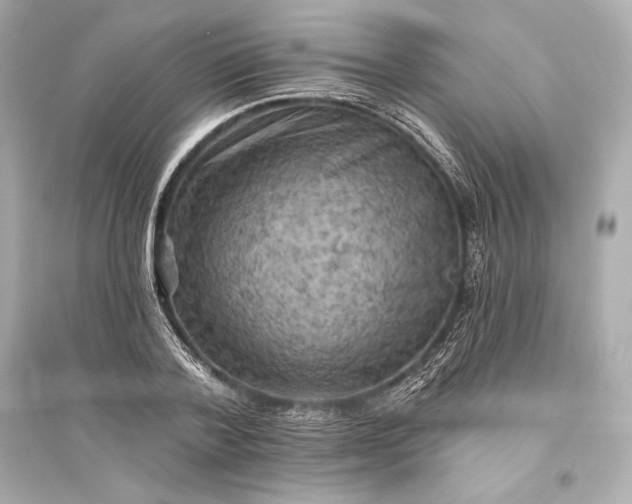 X0000094810788200711301550