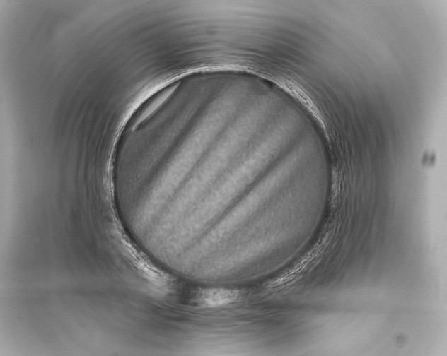 X0000094810789200711301550